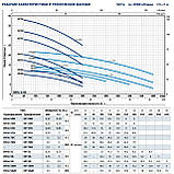 Pedrollo HFm 51A Відцентровий насос, фото 6