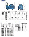 Pedrollo 2CP 25/16A Насос для води відцентровий, фото 3