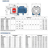 Pedrollo 3CRm 100X Насос багатонсупінчастий, фото 4