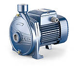 Pedrollo CPm 100 Центробіжний насос, фото 2