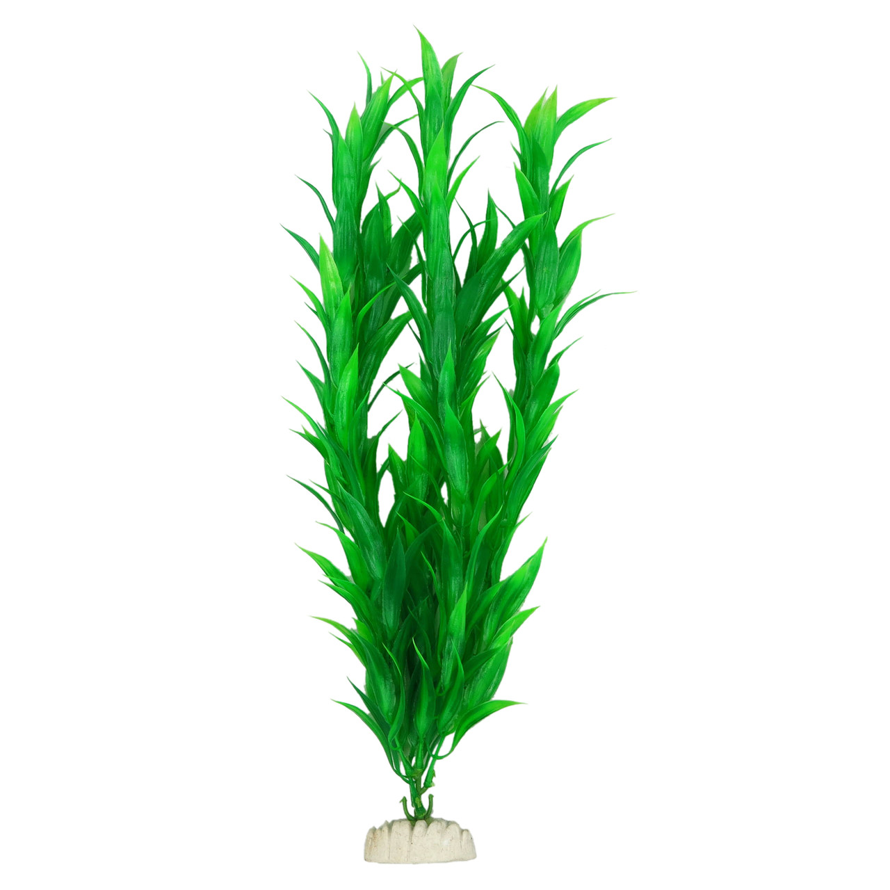 Рослина для декору акваріума 6x4x40cm зелена Hygrophila