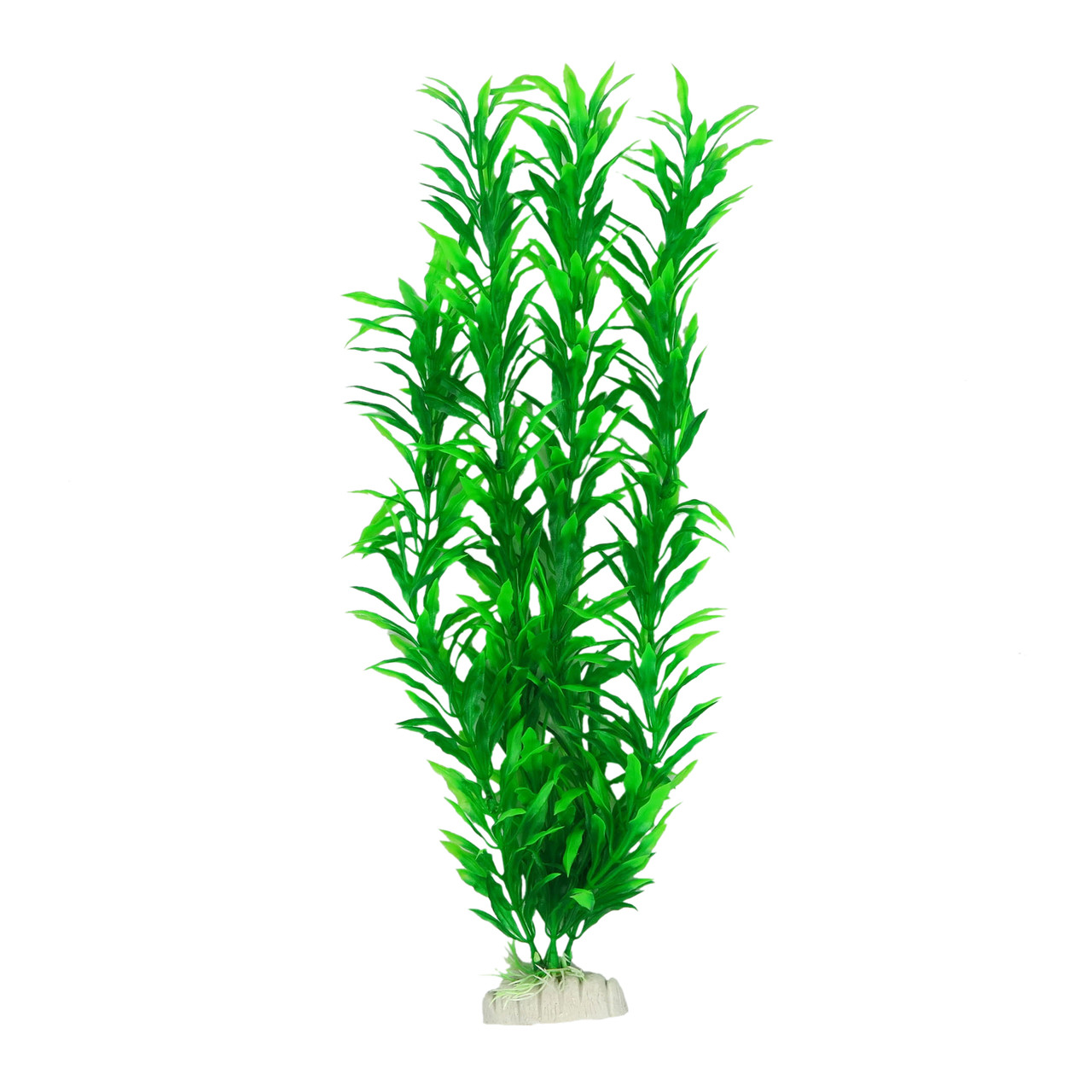 Рослина для декору акваріума 6x4x40cm зелена Hygrophila