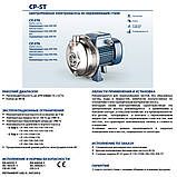 Pedrollo CPm 132-ST6 Відцентровий насос, фото 6