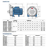 Pedrollo CPm 132-ST6 Відцентровий насос, фото 3