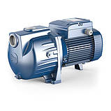 Pedrollo SKRm 1.5 Насос багатонсупінчастий, фото 2