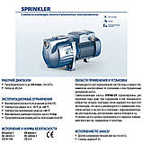 Pedrollo SKRm 1.5 Насос багатонсупінчастий, фото 3