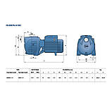 Pedrollo SKRm 1.5 Насос багатонсупінчастий, фото 5