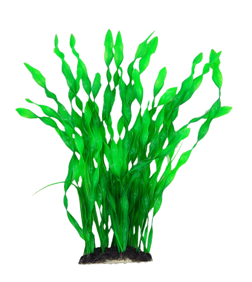 Рослина для декору акваріума 8x6x25cm зелена Vallisneria