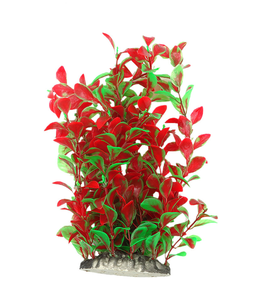 Рослина для декору акваріума 8x6x25cm червоно-зелена Ludwigia