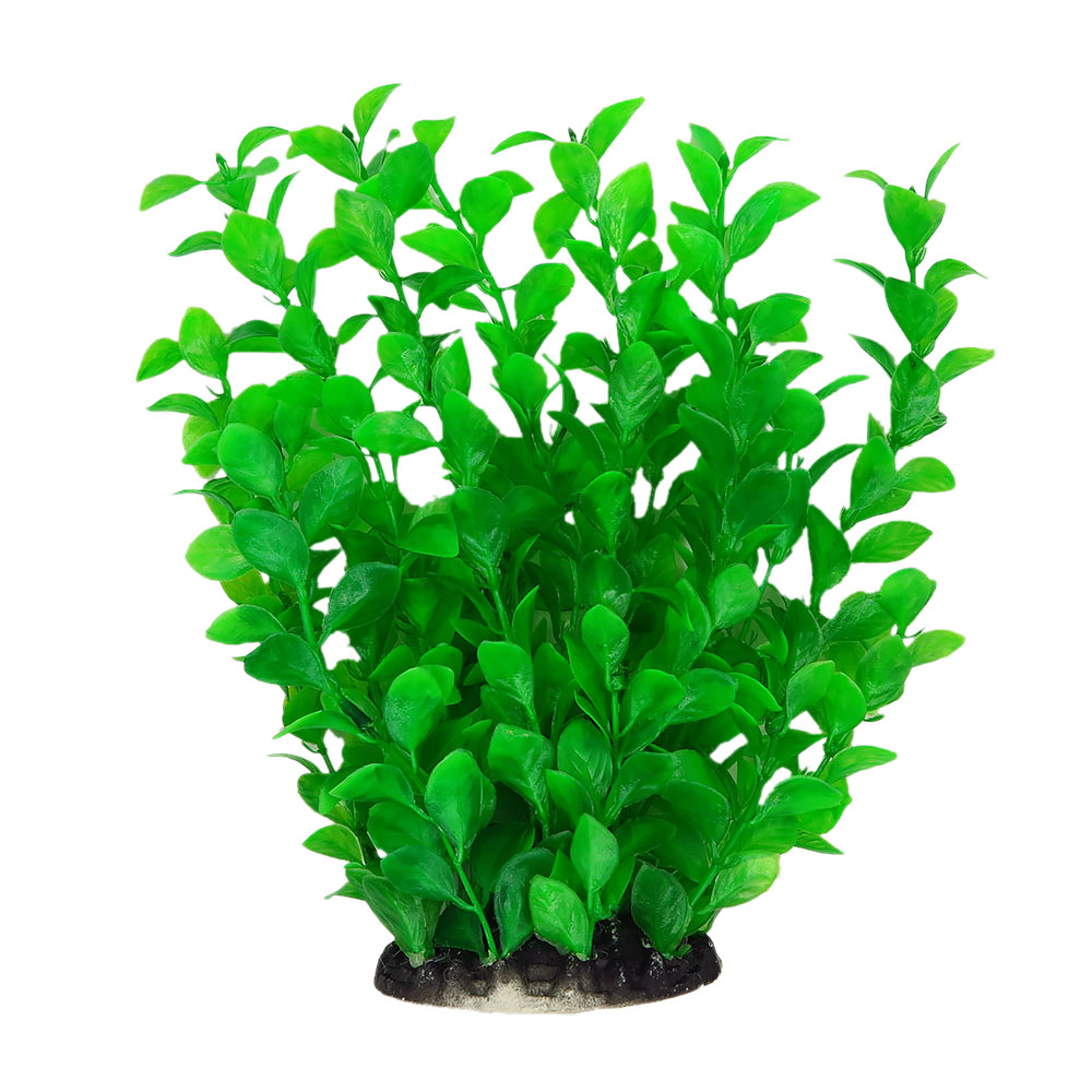 Рослина для декору акваріума 8x6x25cm зелена Ludwigia