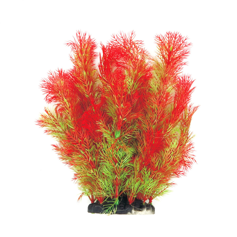 Рослина для декору акваріума 8x6x25cm червоно-зелена Foxtail