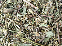 1 кг Золотарник обыкновенный канадський/Золотая розга трава сушеная (Свежий урожай) лат. Solidágo virgáurea