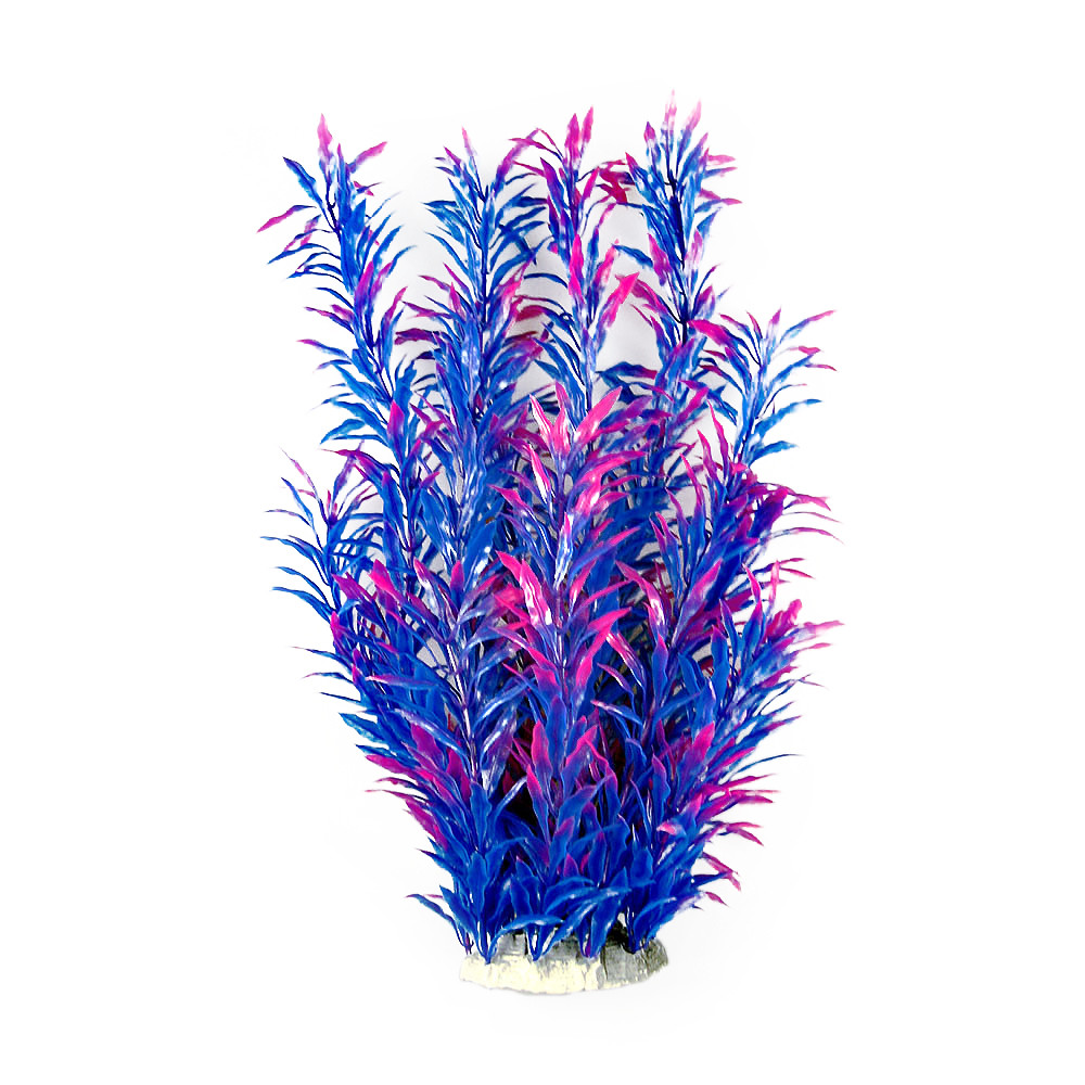 Рослина для декору акваріума 8x6x40cm синє Hygrophila