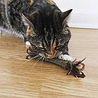 Іграшка для кішок з пресованої котячої м'яти з пір'ям, GiGwi Catnip / Розвиваюча гра з пером для кошенят, фото 7