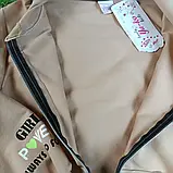 Спортивний костюм-двійка на блискавці на дівчинку розкішної якості Туреччина Розмір 134, фото 5