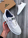 Чоловічі кросівки Lacoste White, фото 7