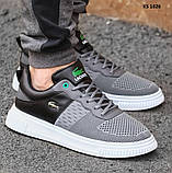 Чоловічі кросівки Lacoste Gray/Black, фото 4