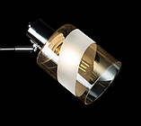 Люстра з плафонами Splendid-Ray 286175(BK+CR), фото 2