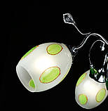 Люстра с плафонами Splendid-Ray 18814691(MIX(FGD1+CR1)), фото 7