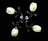 Люстра с плафонами Splendid-Ray 18814691(MIX(FGD1+CR1)), фото 4