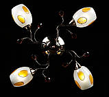 Люстра с плафонами Splendid-Ray 18814691(MIX(FGD1+CR1)), фото 5