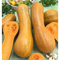 Гарбуз Арабатський 10 г