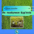 Як позбутися бурьянів в газоні? Дієві способи.