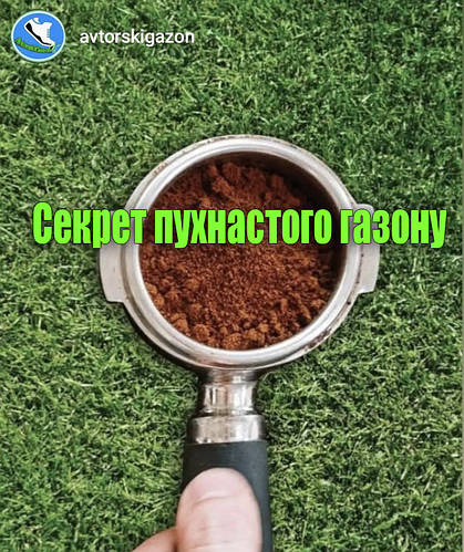 ПРАВИЛА і СЕКРЕТИ пухнастих газонів або як створити ПРАВИЛЬНИЙ ГАЗОН ?