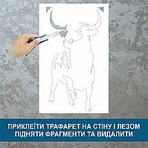 Трафарет для фарбування, Буйвол, одноразовий з самоклеючої плівки 95 х 190 см, фото 4