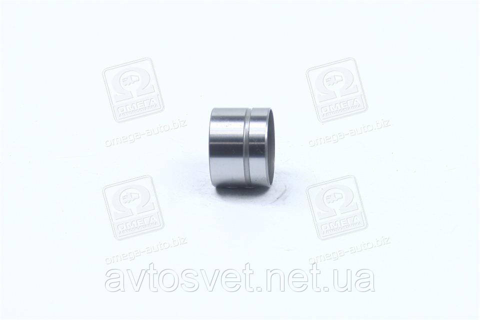 Гiдрокомпенсатор BMW M50/M52 (вир-во Ina) 420 0049 10 (Kr)