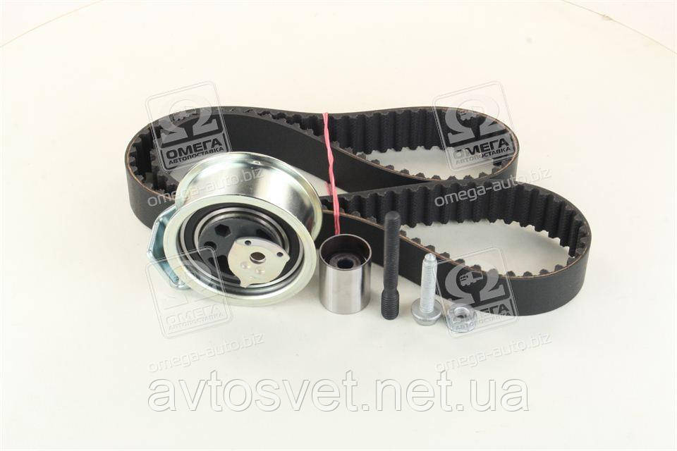 Ремкомплект грм VAG 038198119 B (Вир-во INA) 530 0176 10 (Kr)