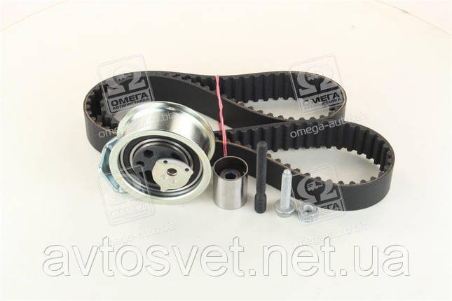 Ремкомплект грм VAG 038198119 B (Вир-во INA) 530 0176 10 (Kr), фото 1