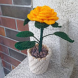 Декоративна квітка "Жовта троянда" - Вічна квітка, фото 9