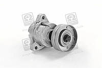 Планка натяжная DAEWOO CHEVROLET Lacetti 2.0 [X 20 SED] (пр-во Ina) 534 0118 20 (Kr)