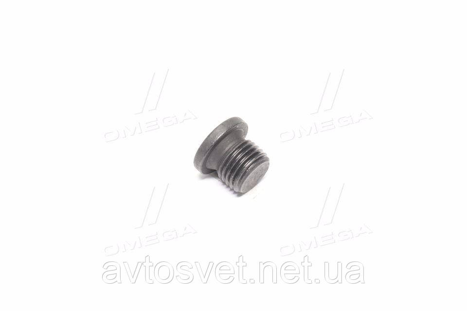 Пробка оливного отвору VAG (вир-во FEBI) 38788 (Kr)