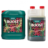 Canna Boost Accelerator 250 мл