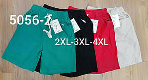 Літні жіночі шорти "Ластівка" гуртом, напівбатал, зі стрейч коттону. Розмір 48, 50, 52