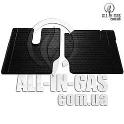 Килимки MAN F2000 1994-2001 (2шт) Stingray - Автомобільні килимки на МАН Ф2000