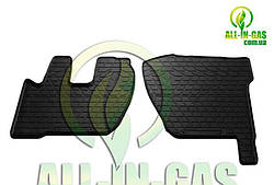Килимки Renault Premium 2006-2013 (2шт) Stingray - Автомобільні килимки на Рено Преміум