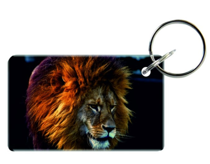 Заготовка ключа для домофону RFID 5577 перезаписуєма Тварини №12, фото 1