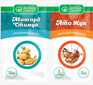 Шкідники на картоплі й овочах — АТО «Жук» л.с. 3 мл + Авангард Стимул 10 мл: удар по колораду й тлі, стимул. Придатний до 12/2025, фото 1