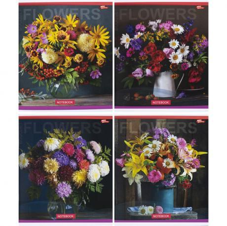 Зошит кольоровий 96 аркушів, лінія 3415 D MZOPT