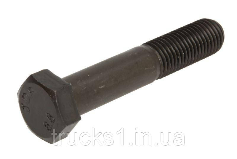 Шестигранні болти 070.453-00 (PETERS), фото 1