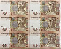 Неразрезанный лист из банкнот НБУ номиналом 2 грн 60 шт. Коллекционные Листы банкнот. Неразрезанные гривны