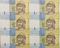 Неразрезанный лист из банкнот НБУ номиналом 1 грн 60 шт. Коллекционные Листы банкнот. Неразрезанные гривны