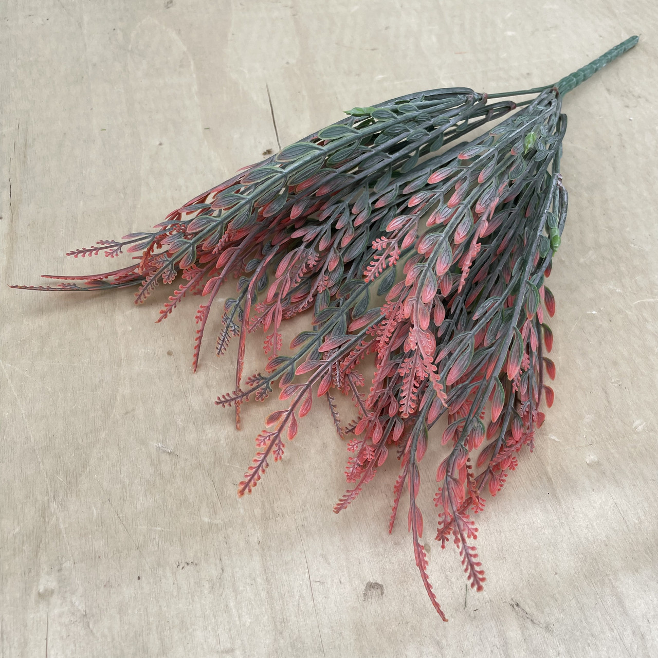 Декоративна трава. польова 35 см каралова, фото 1