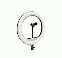 Лампа-кольцо с Led подсветкой Ring Light BD-330 33cm с держателем