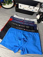 Набір чоловічих трусів Tommy Hilfiger чорний, сірий, темно-синій, синій, червоний mu001