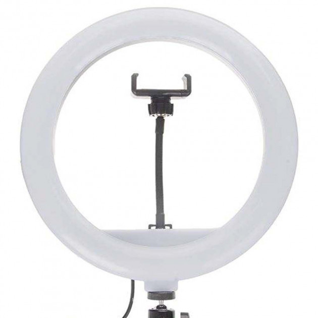 Кільцева LED-лампа JY-300 діаметр 30 см, usb, керування на дроті (471-500) 009797 Найкраща ціна