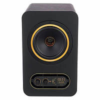 Tannoy Gold 5